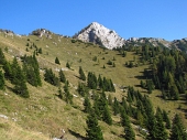 PIZZO BADILE E MONTE SECCO BREMBANO (mt.2293) sabato 1 ottobre 2011 - FOTOGALLERY